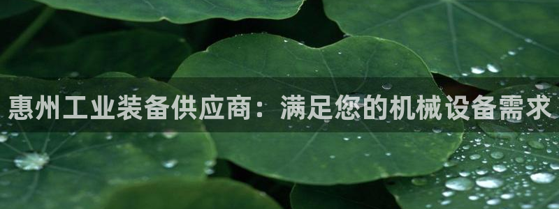 j9九游会老哥俱乐部介绍
