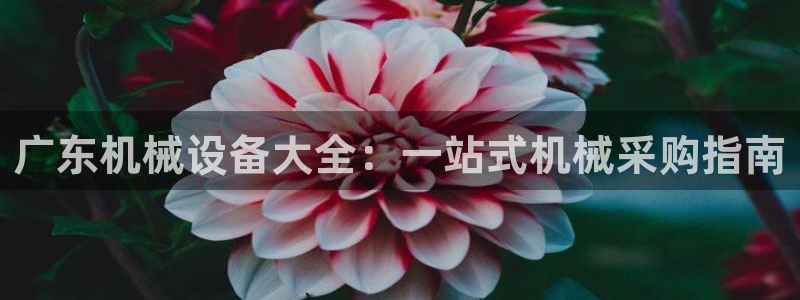 九游会老哥必备的交流社区九