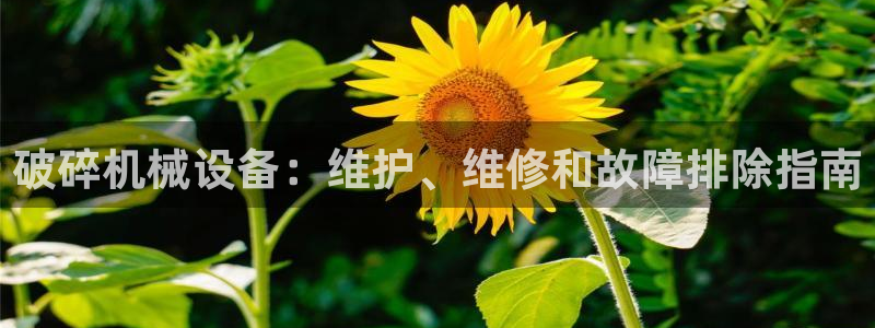 九游会登陆地址