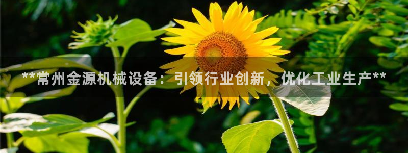 九游会vip
