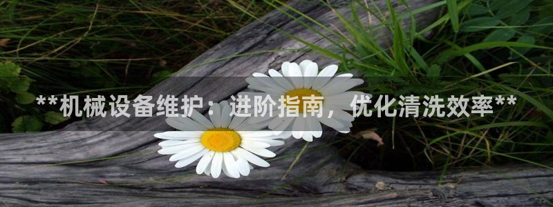 九游会真人第一品牌游戏合营