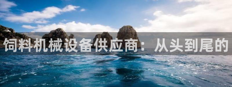 九游会ag亚洲