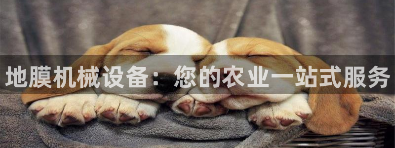 九游会官方旗舰店
