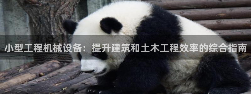 J9九游会老网站