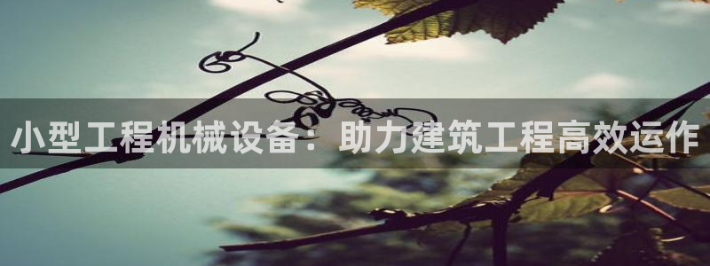 九游会agj9