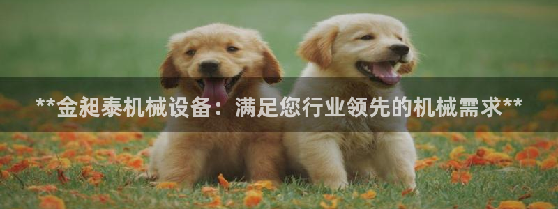 九游会手机登入