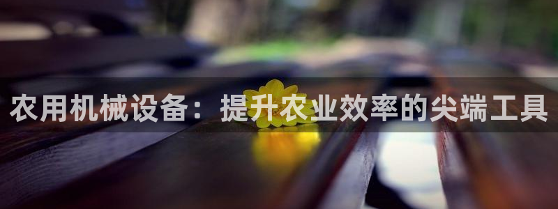 ag8亚洲九游会