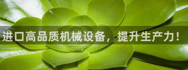 九游会j9全站平台