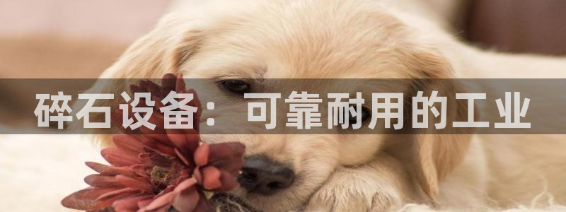 j9九游会老哥俱乐部联系方式