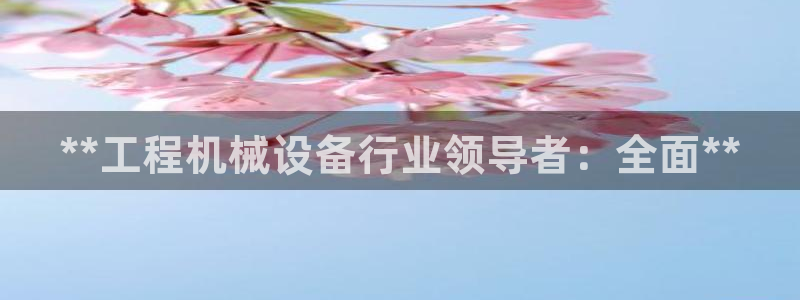 九游会j9