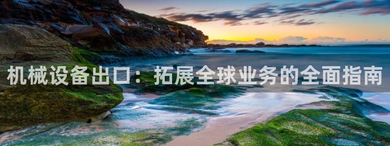 九游j9会