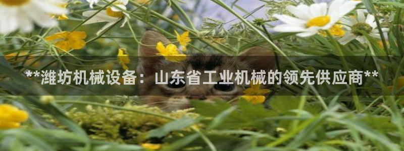 九游j9国际