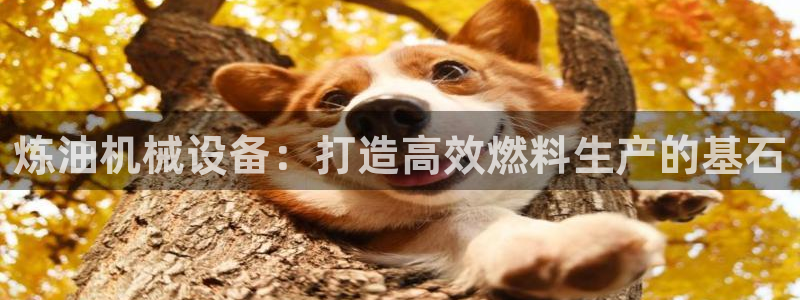 九游会官方app