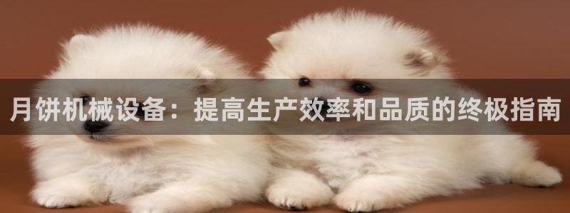 j9九游会真人游戏第一