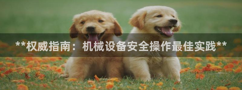 九游会视讯
