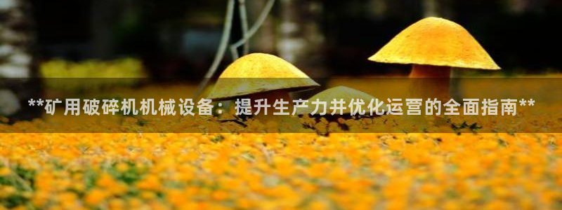 J9九游会app