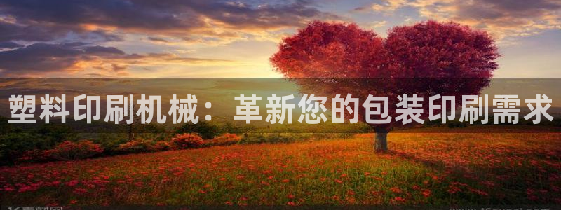 九游会网址多少