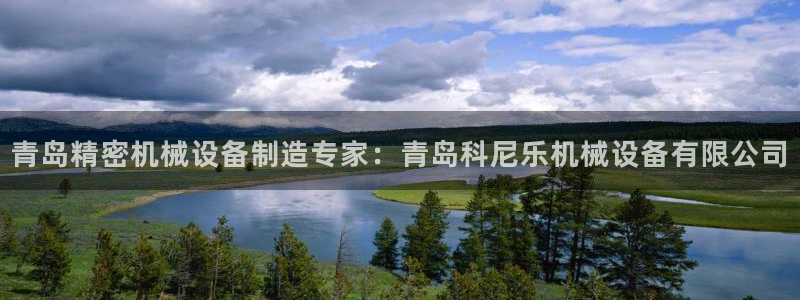 九游会官网进入口