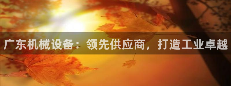 九游会国际厅