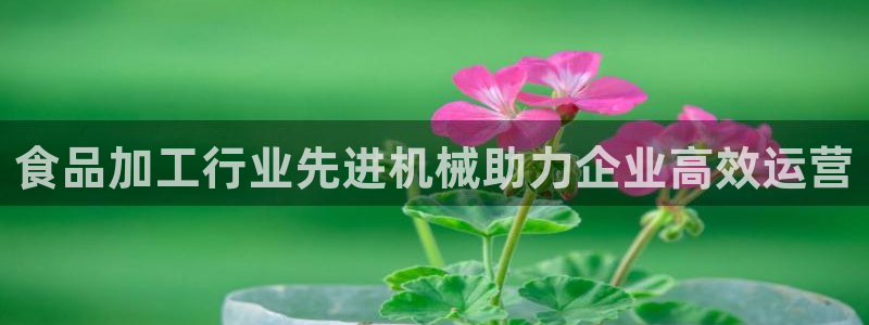 九游会平台网站