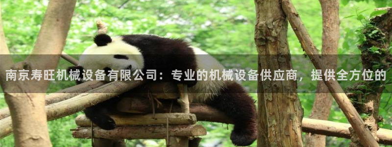 9游会旗舰