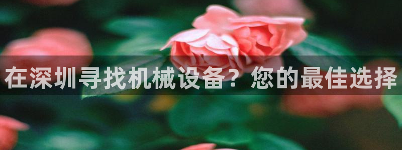 九游会大家觉得怎么样