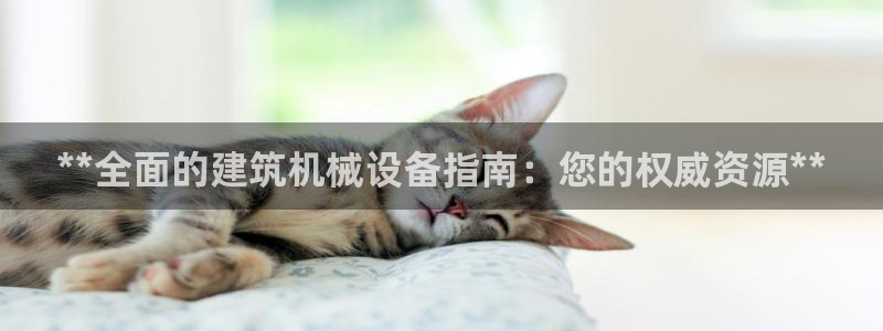 九游会倒闭吗?