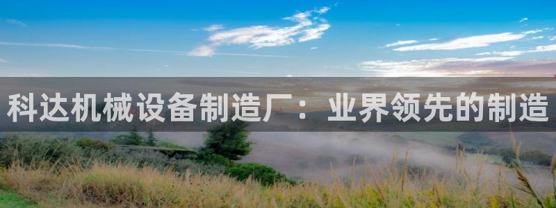 九游j9