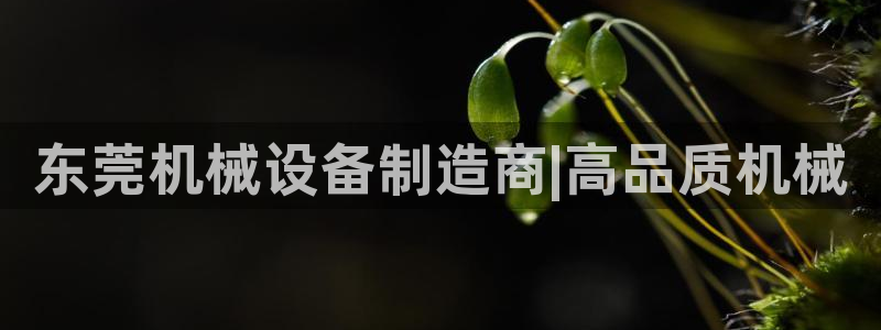j9官网豪华游