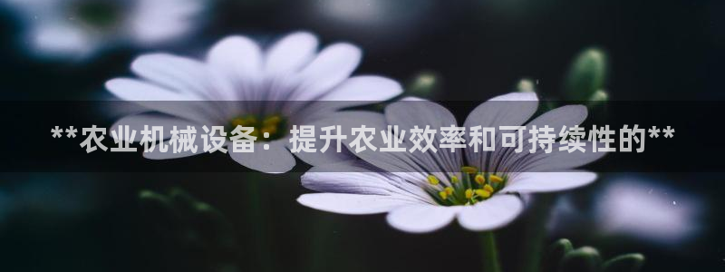 j9九游会游戏