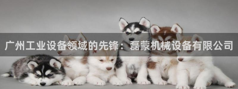 九游会大家觉得怎么样