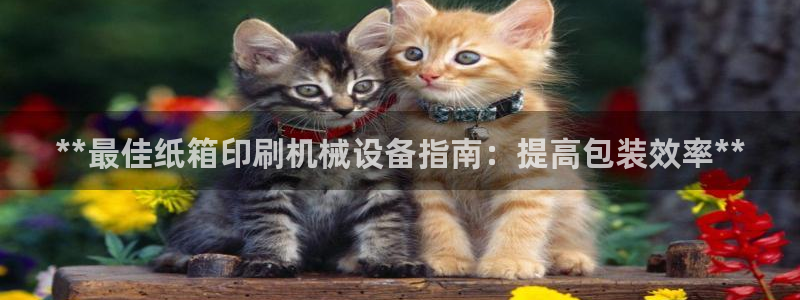 ag九游会老哥俱乐部