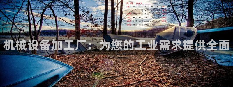 ag久游