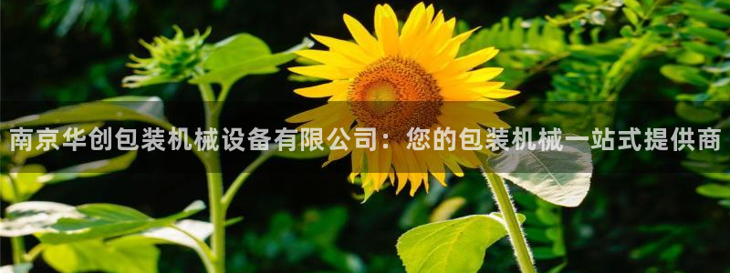 J9九游会老网站