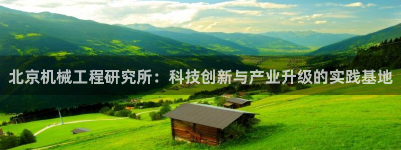 九游会官方选网址是j9.cm