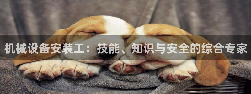 ag老玩家