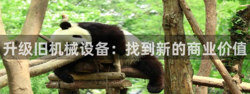 九游会可靠吗