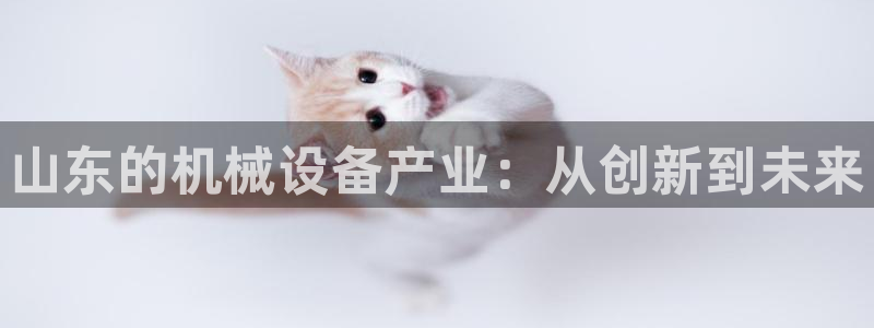 J9九游会首页登录