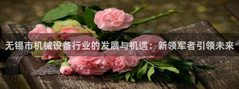 九游会网址九