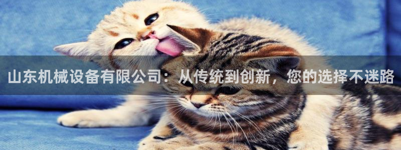 J9九游会国际站