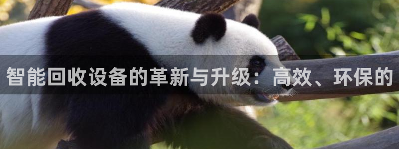 J9九游会集团