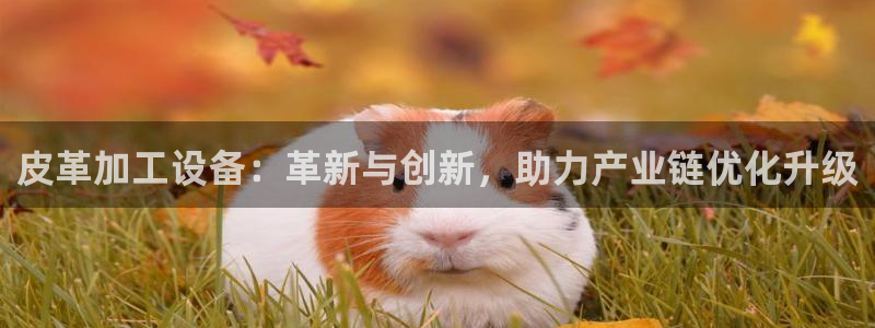 九游会app下载版官网正版手游