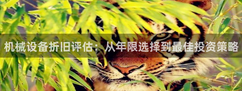 ag老队友