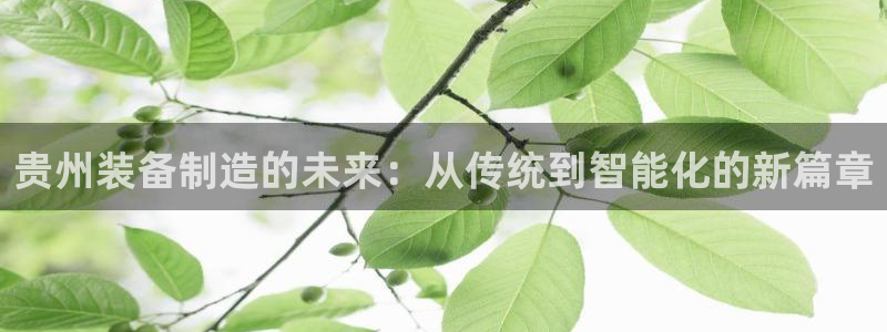 j9九游会合法吗：贵