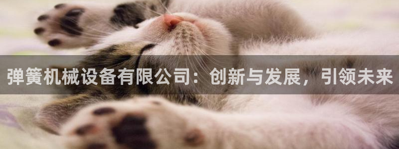 ag九游会客户端