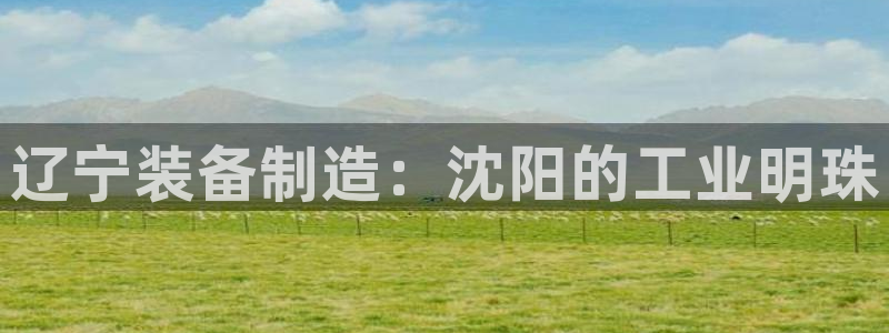 j9九游会平台信誉怎