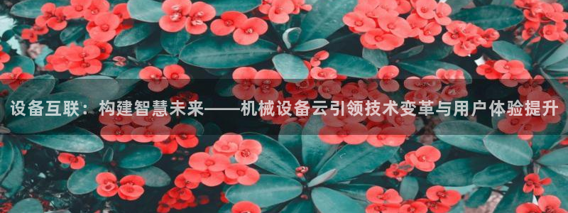 九游会ag318