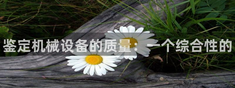 j9九游会怎么样