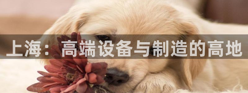 九游会官网平台