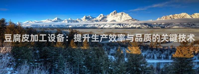 九游会老哥俱乐部